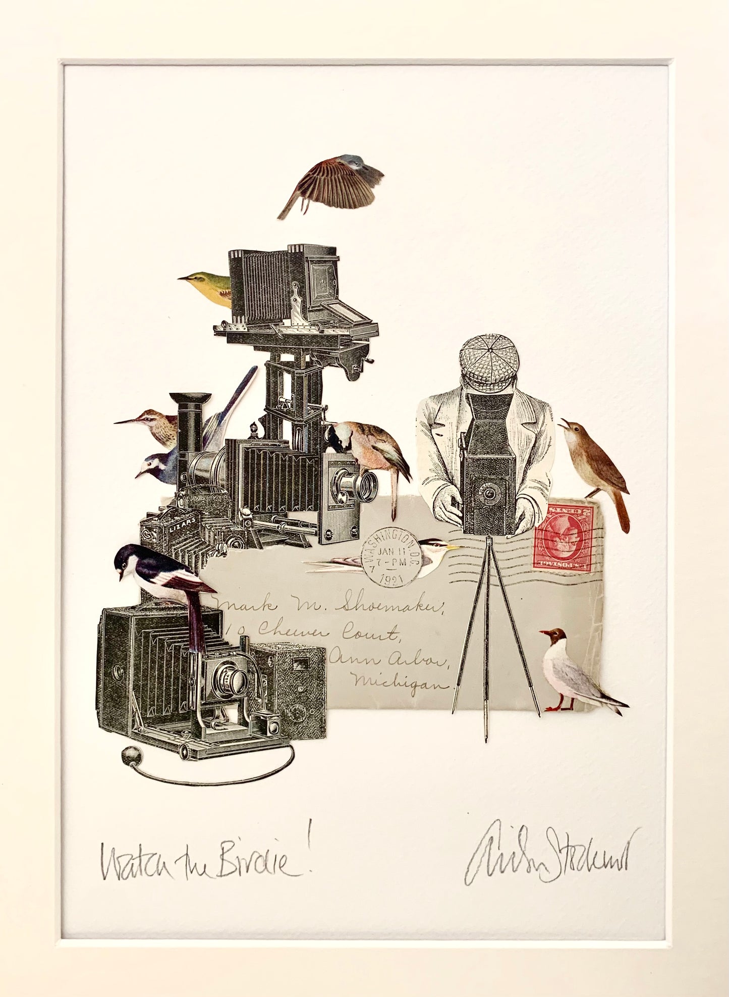 Watch the Birdie! Original Collage
