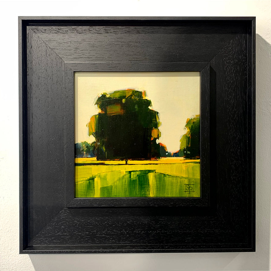 Into the Vale #30 - Framed