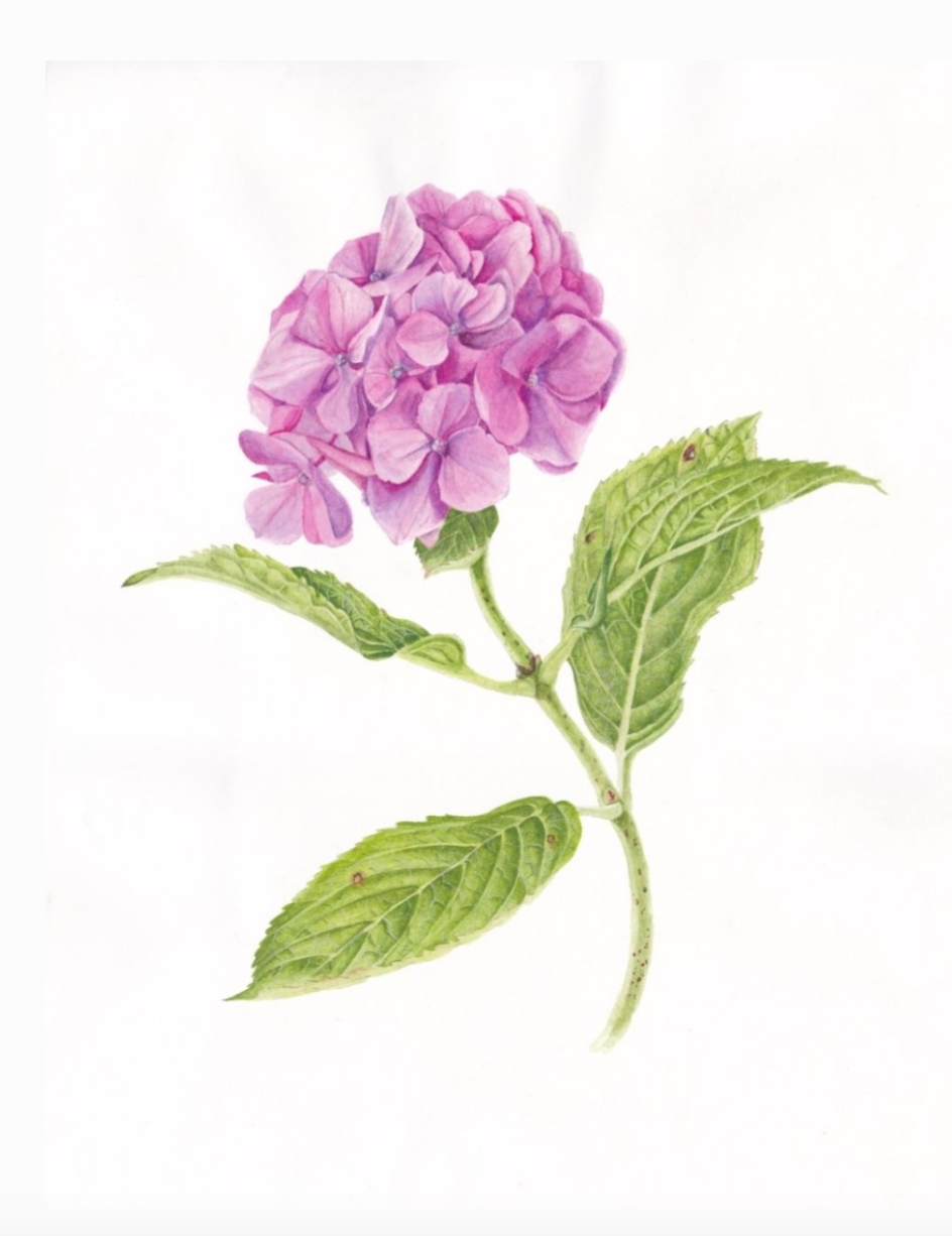 Enchanted Florals Medium Silk Scarf
