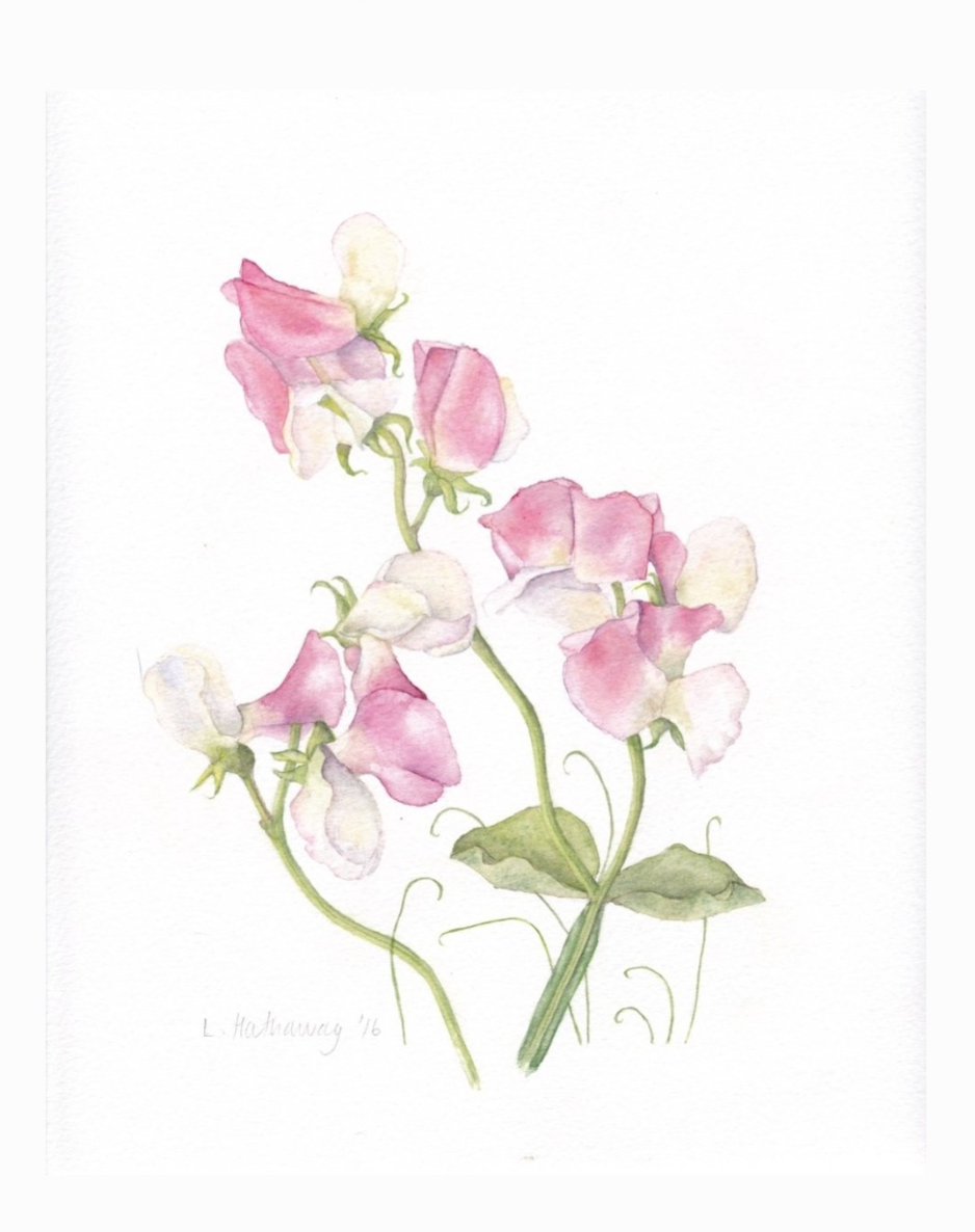 Enchanted Florals Medium Silk Scarf