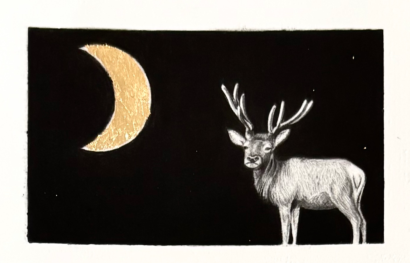 By The Light of the Moon I