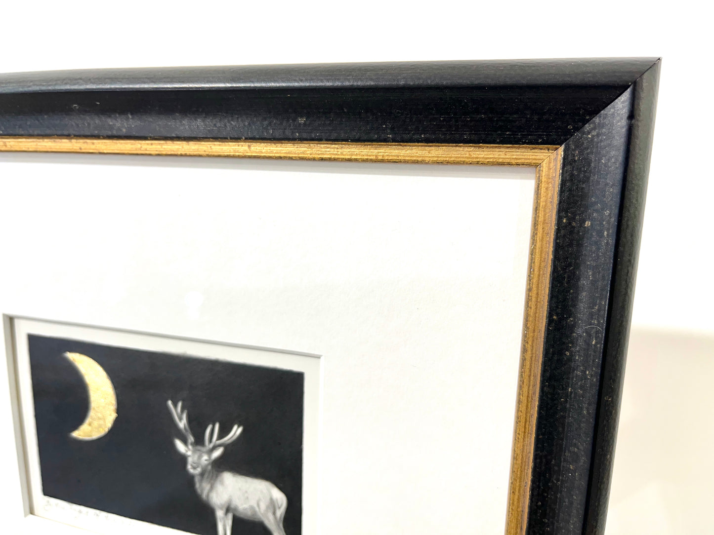 By The Light of the Moon I