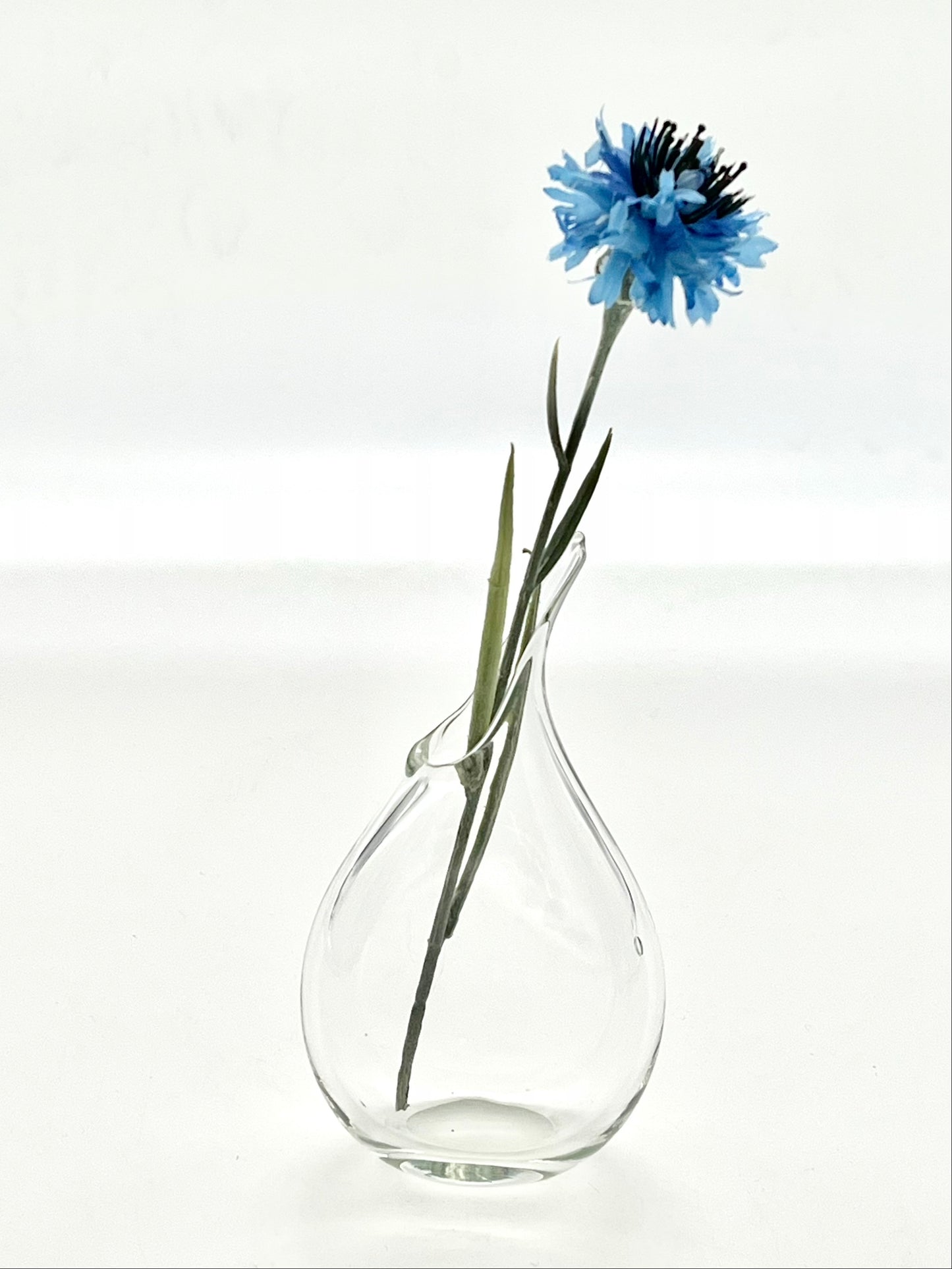Clear Pod Vase Mini