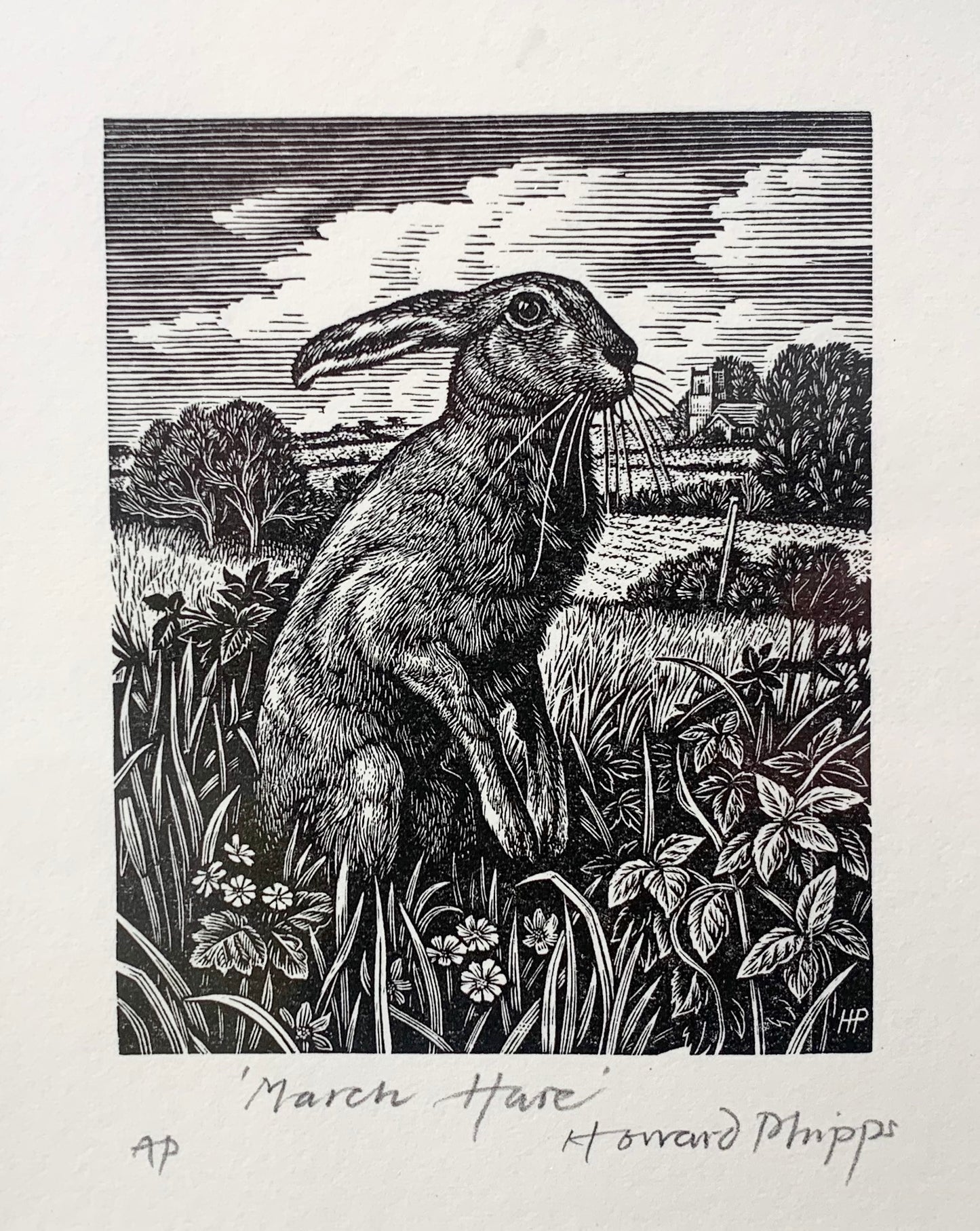 'March Hare' Wood Engraving