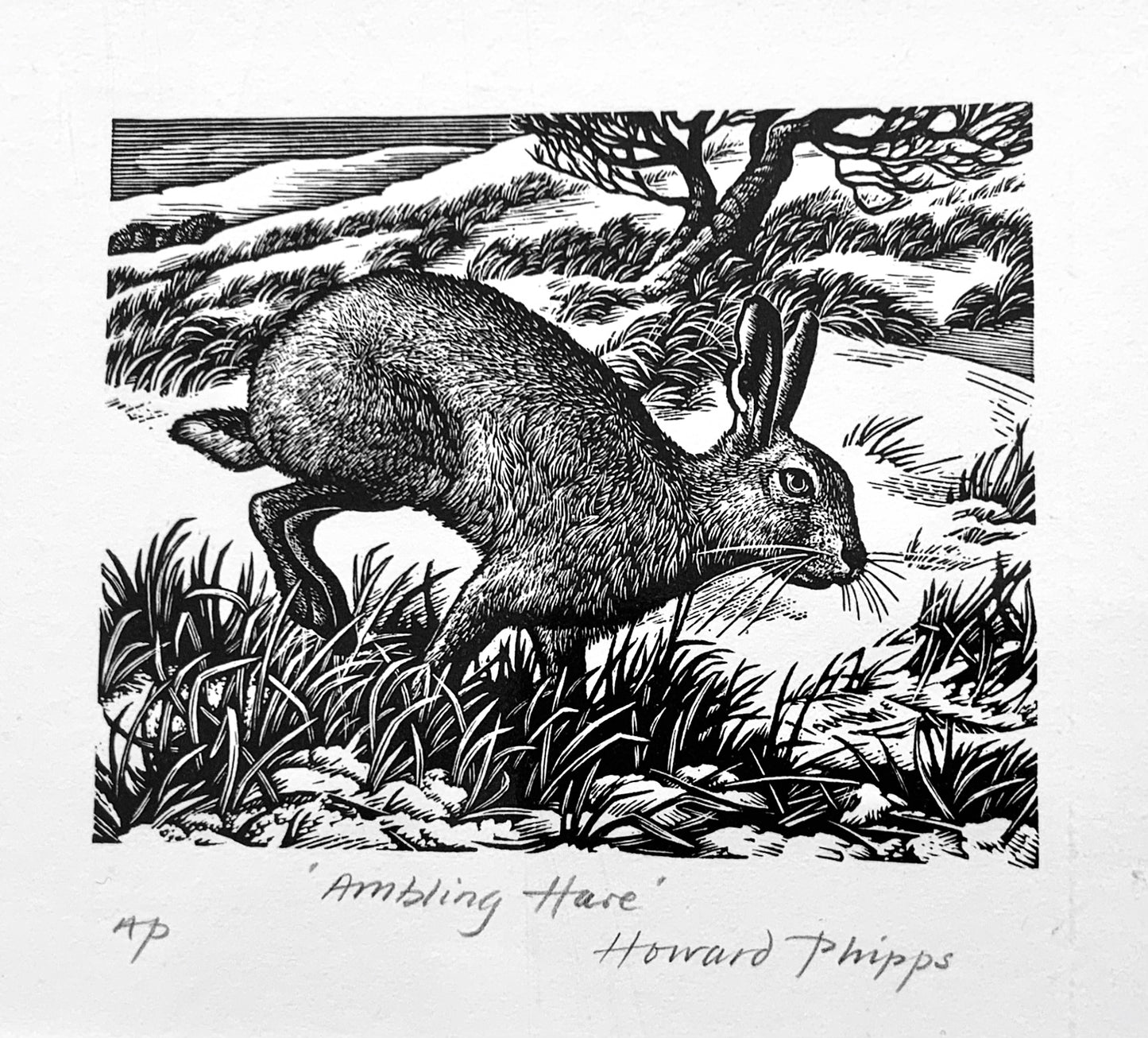 'Ambling Hare' Wood Engraving