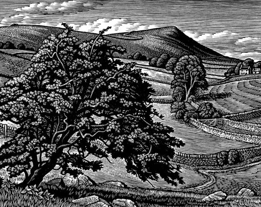 'Wetton Hill' Wood Engraving - Framed