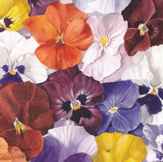 Wool Silk Blend Pansy Shawl / Scarf