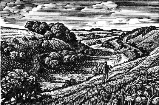 'Strip Lynchets, Coombe Bissett Down' Wood Engraving - Framed