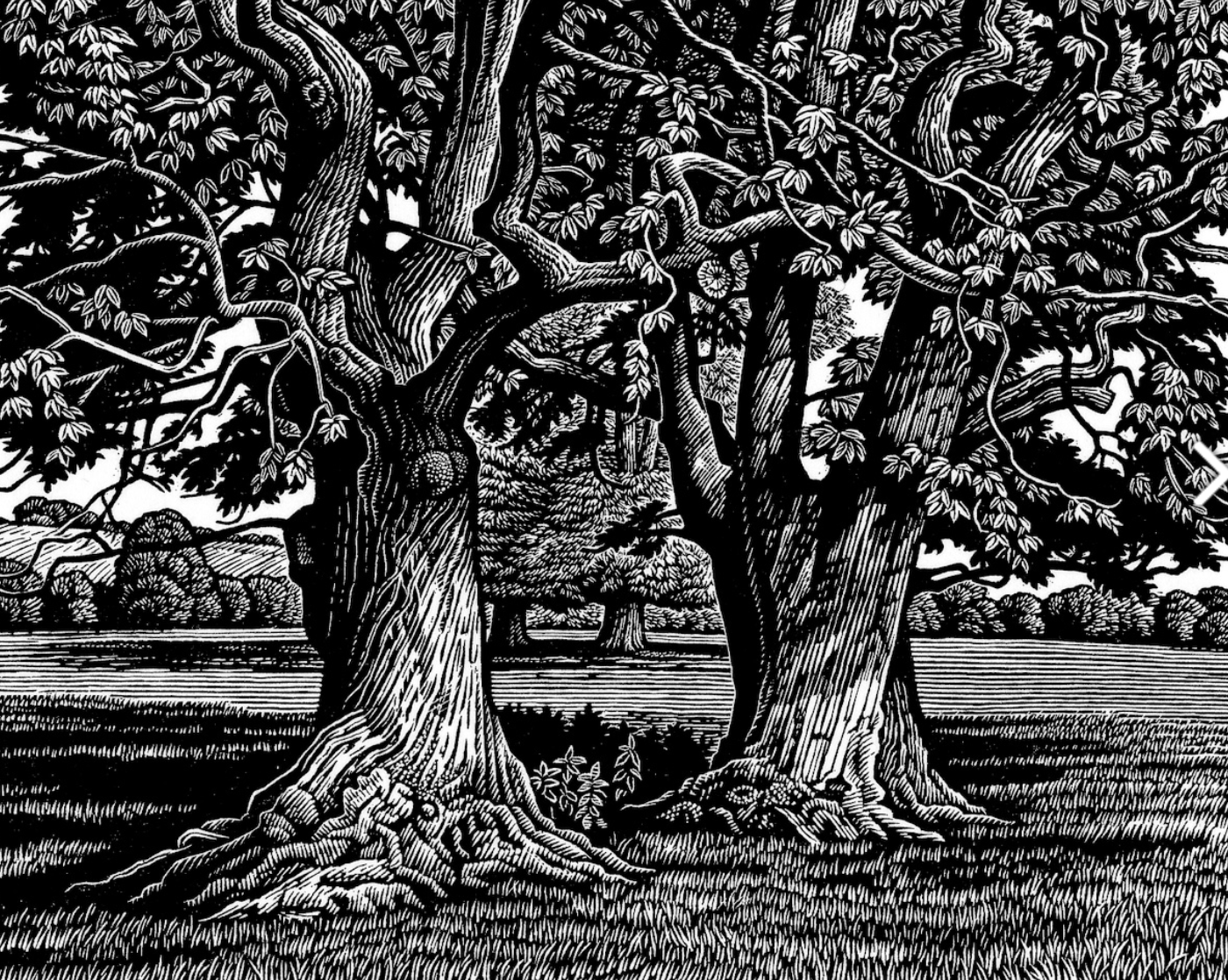 'Sweet Chestnuts' Wood Engraving - Framed